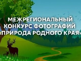 Конкурс Фотографий «Природа Родного Края»: Участвуйте Бесплатно!