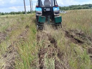 В Давыдовском лесничестве завершили 50% плана по уходу за лесами