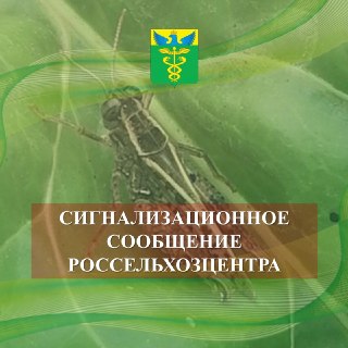 Итальянский Прус: Окрыление Личинок и Прогноз Вредоносности