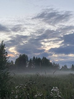 Туман в Воронежской области: Желтый уровень опасности до утра