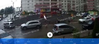Стаю агрессивных бездомных собак заметили на Олимпийском бульваре