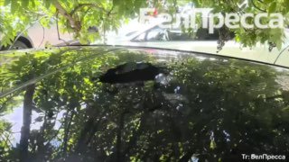 Дрон атакует ЗАГС: Жених и невеста пострадали в Белгороде