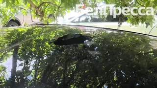 Дрон атакует свадьбу: невеста сгорела в платье, ранен гость